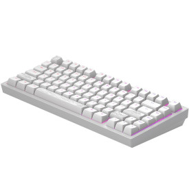 Клавиатура Dark Project ALU81A Terra Nostra, White, RGB