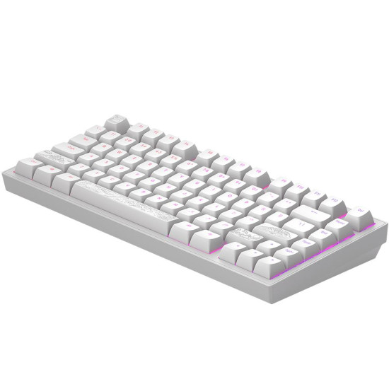 Клавиатура Dark Project ALU81A Terra Nostra, White, RGB