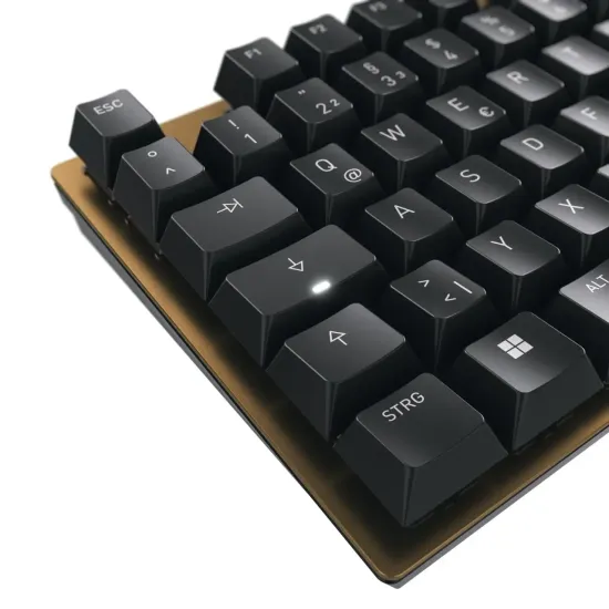 Клавиатура Cherry KC 200MX, Brown Switch, Black