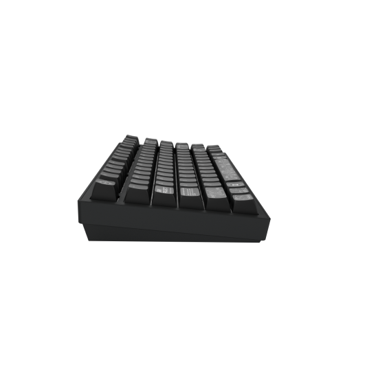 Безжична клавиатура Dark Project ALU81A Terra Nova, Black, RGB