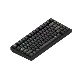 Безжична клавиатура Dark Project ALU81A Terra Nova, Black, RGB