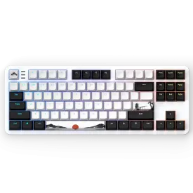 Клавиатура Dark Project 87 Fuji V2 RGB TKL, G3MS Sapphire Switches, ABS
