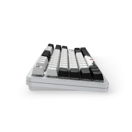 Клавиатура Dark Project 87 Fuji V2 RGB TKL, G3MS Sapphire Switches, ABS