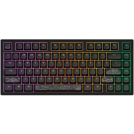 Клавиатура Dark Project ALU81A Terra Nostra, Black, RGB