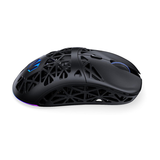 Безжична мишка ENDORFY LIV Plus, RGB, Black