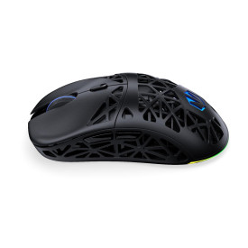 Безжична мишка ENDORFY LIV Plus, RGB, Black