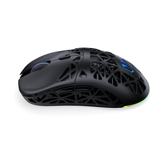 Безжична мишка ENDORFY LIV Plus, RGB, Black