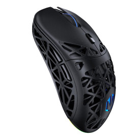 Безжична мишка ENDORFY LIV Plus, RGB, Black