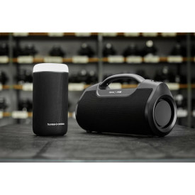 Преносима тонколона HAMA x Canton Mate Pro, 60W, водоустойчива, Black